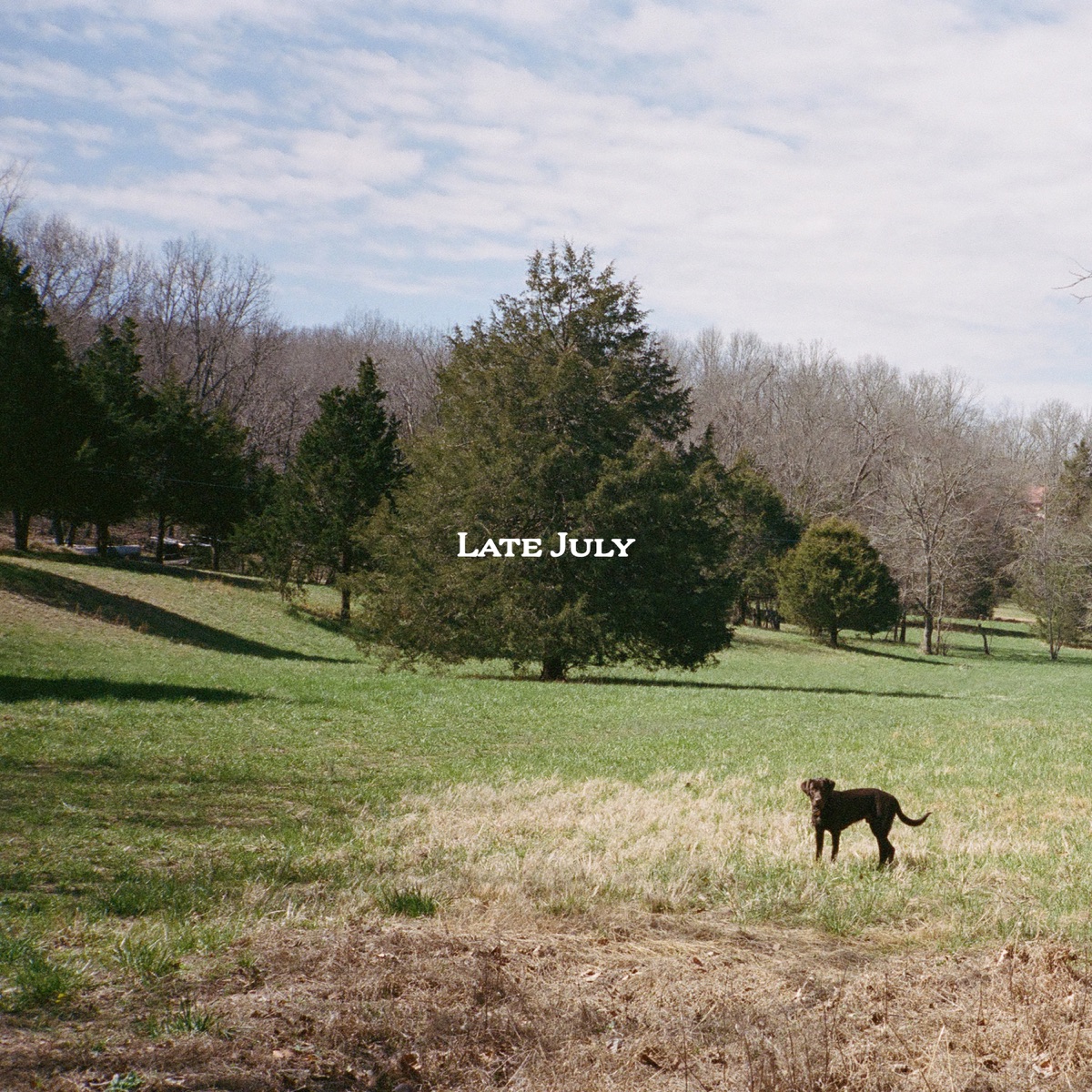 Late July - Single by Zach Bryan album cover artwork