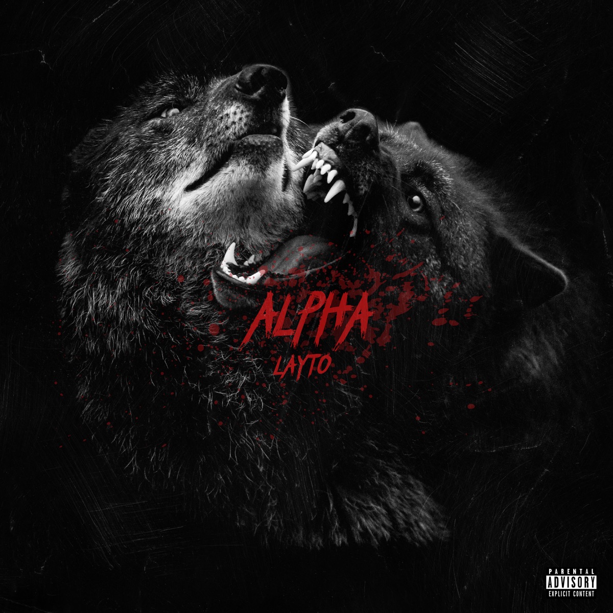 Alpha - Single by Layto album cover