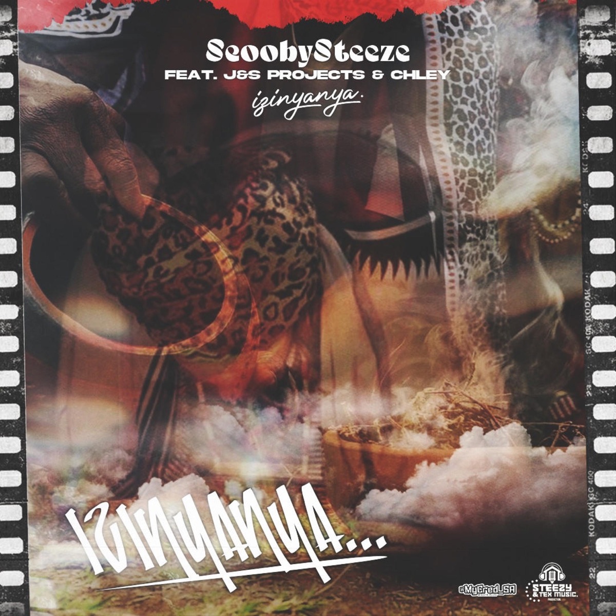 Izinyanya (feat. J&S Projects & Chley) - Single by ScoobySteeze album cover
