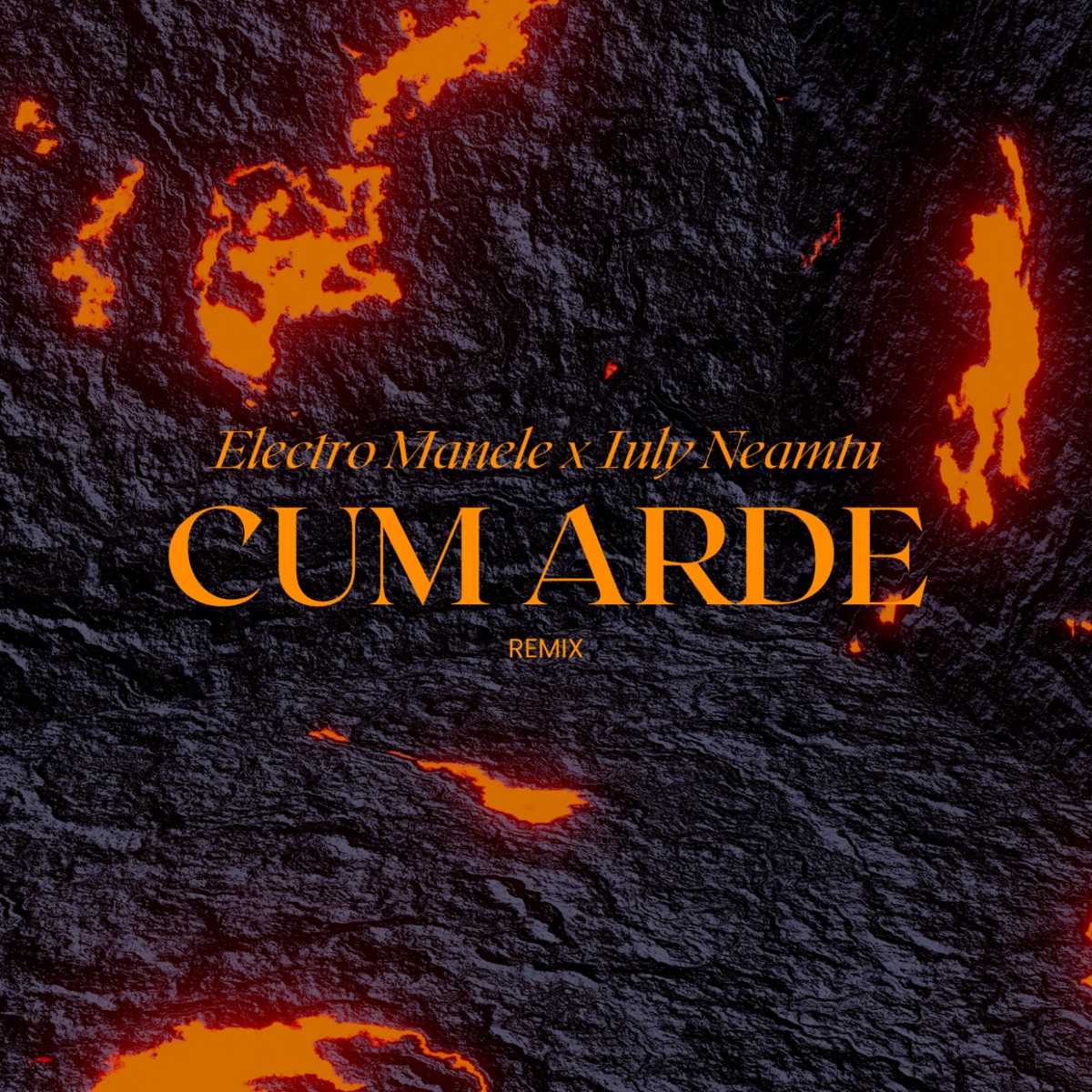 Cum arde (Remix) - Single by Electro Manele & Iuly Neamtu album cover