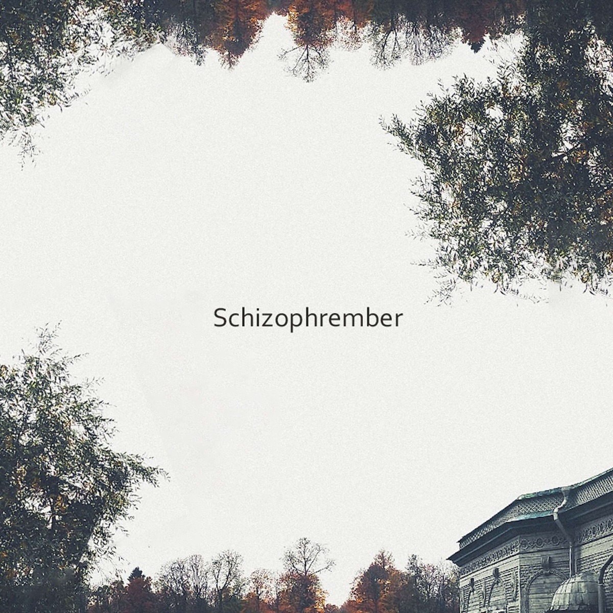 Schizophrember - EP by Kirkinson & Lirth album cover