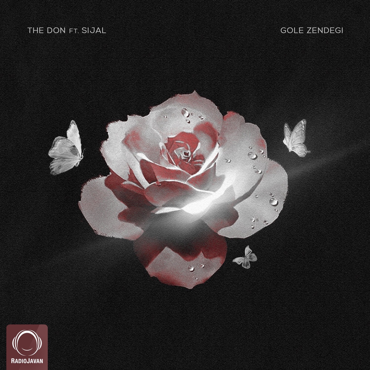 Gole Zendegi - Single by The Don & Sijal album cover