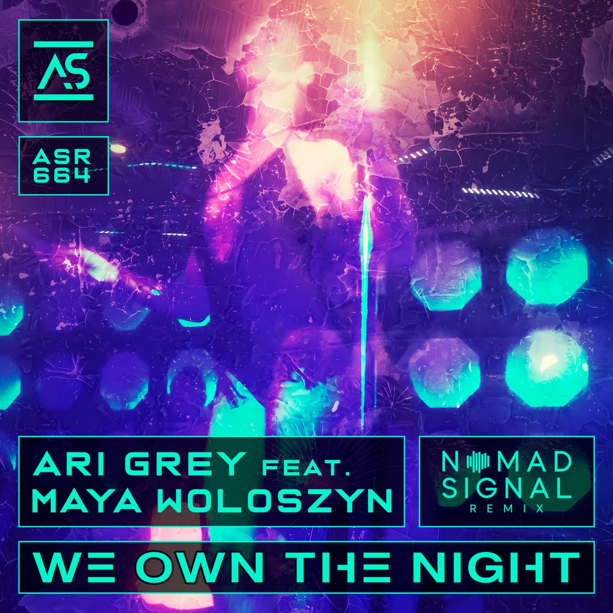 We Own the Night (NOMADsignal Remix) - Single by Ari Grey & NOMADsignal album cover