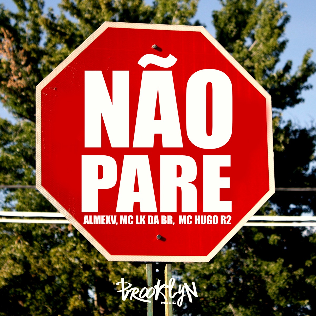 Nao Pare - Single by MC LK da BR, MC Hugo R2 & almexv album cover
