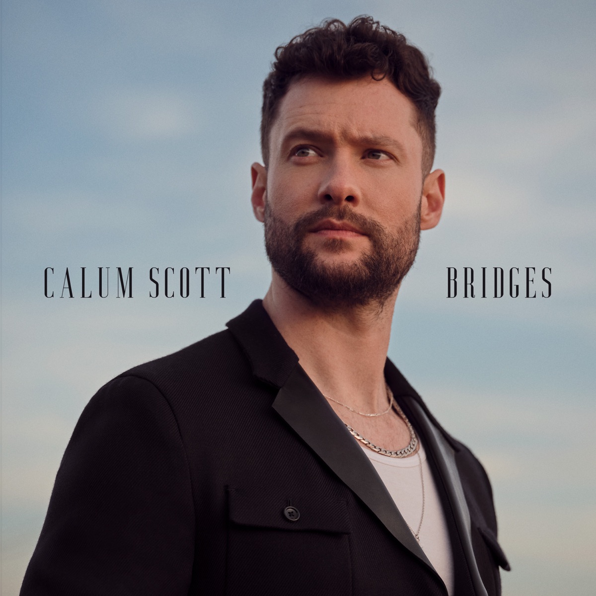 Bridges by Calum Scott album cover