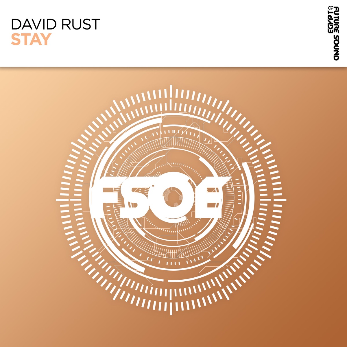 Stay - Single by David Rust album cover