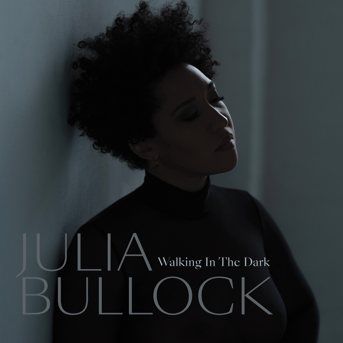 Walking in the Dark by Christian Reif & Julia Bullock album cover