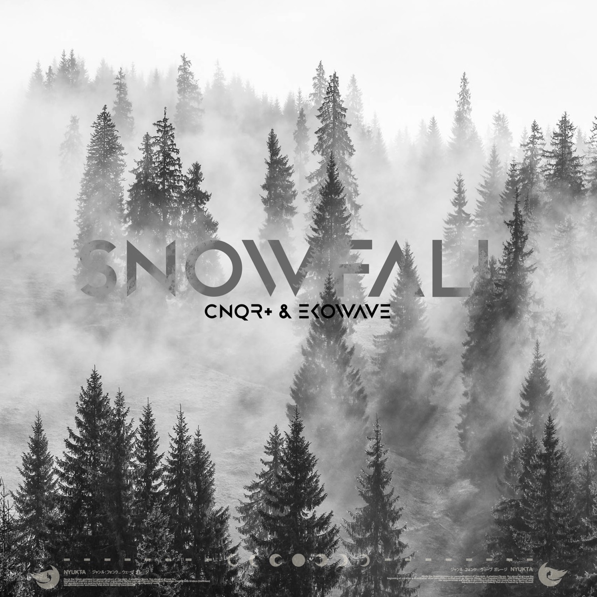 Snowfall - Single by CNQR+ & EKOWAVE album cover
