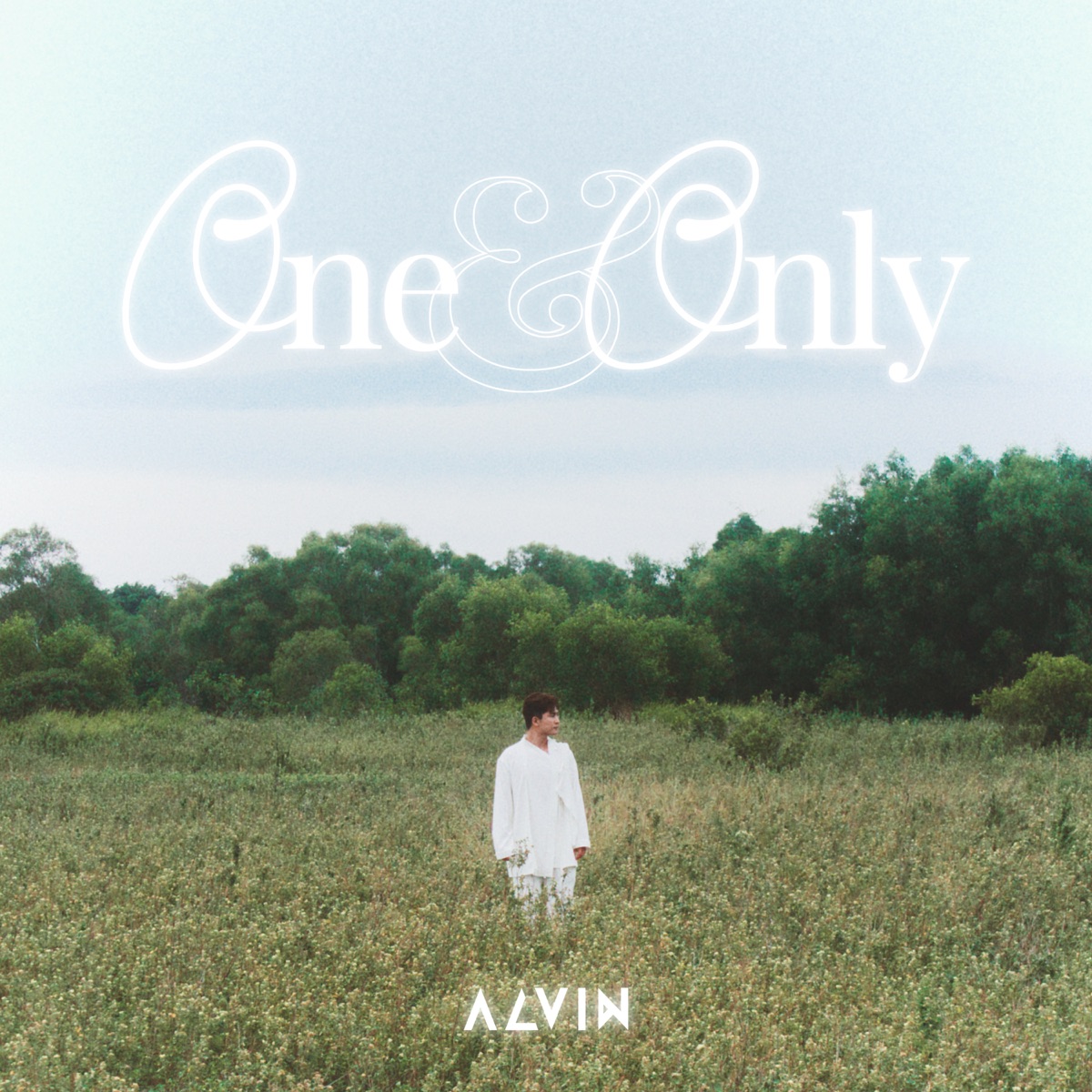 One & Only - Single by Alvin Chong album cover