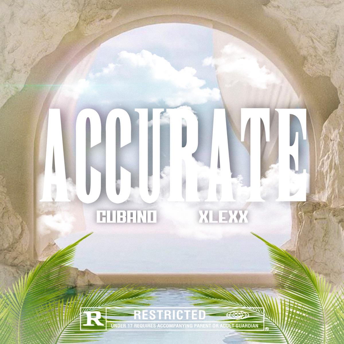 Accurate - Single by Cubano Link & XLEXX album cover