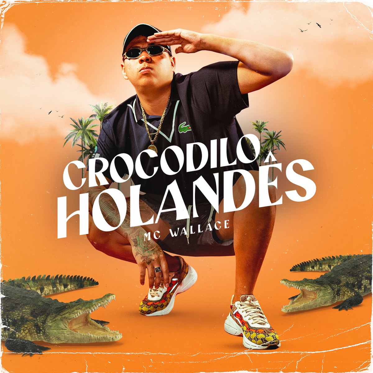 Crocodilo Holandês - Single by Mc Wallace album cover