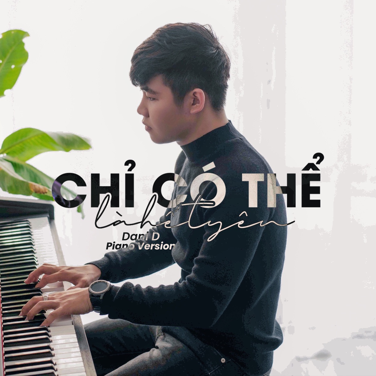 Chỉ Có Thể Là Hết Yêu (Piano Version) - Single by Dani D album cover