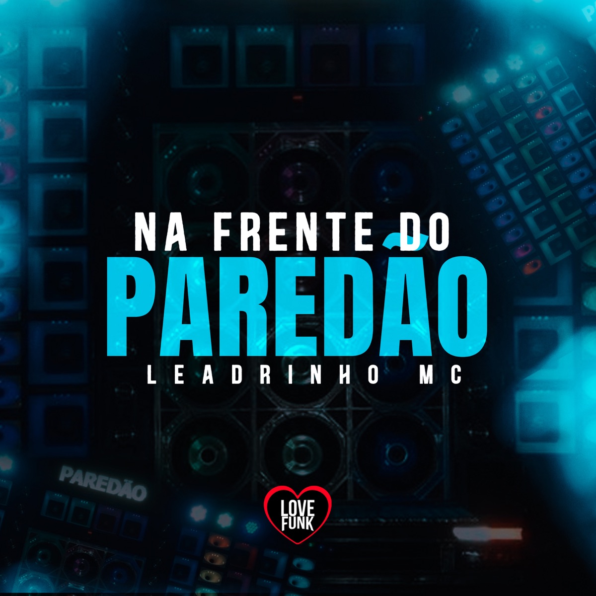 Na Frente do Paredão - Single by Leandrinho Mc album cover