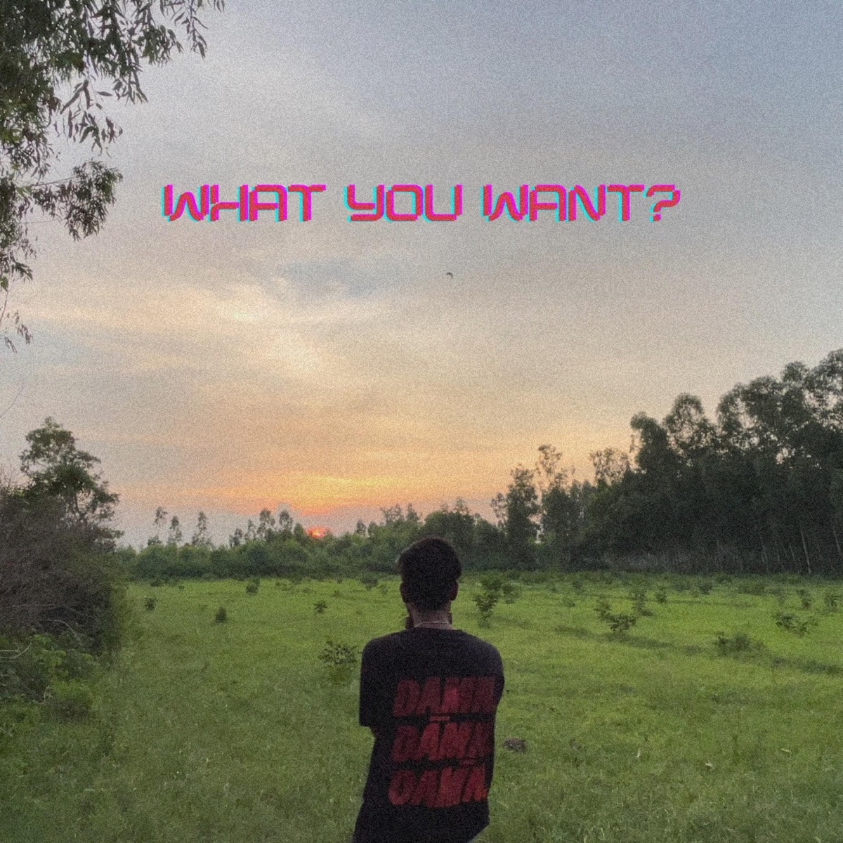 What You Want? - Single by S4chin Musix & Sangam Vigyaanik album cover