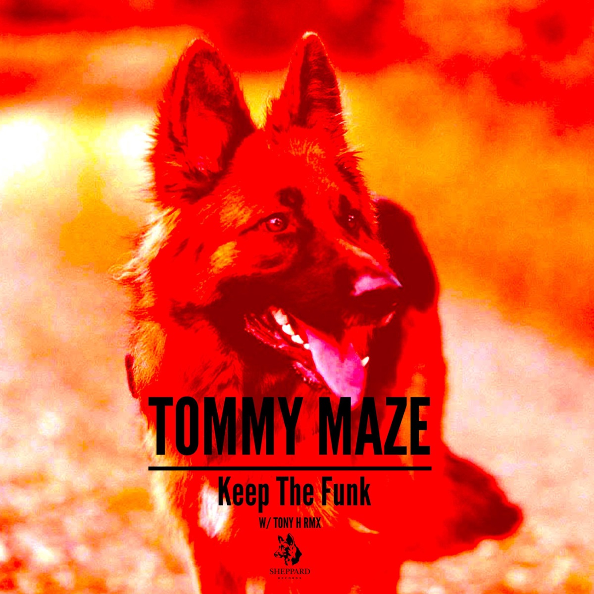 Keep the Funk - Single by Tommy Maze album cover