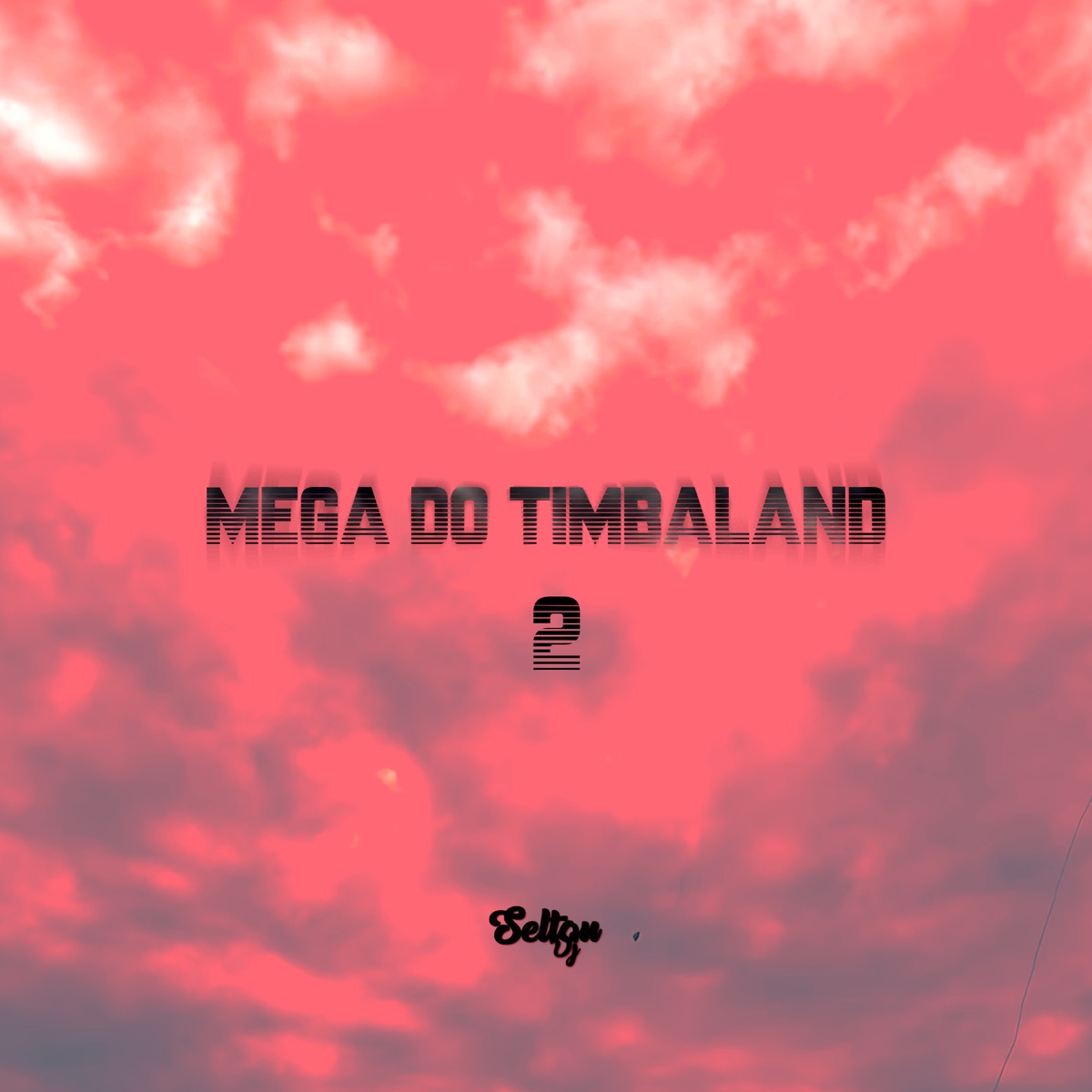 Mega Do Timbaland 2 (feat. MC Pogba & MC Brunin NK) - Single by Selton DJ album cover