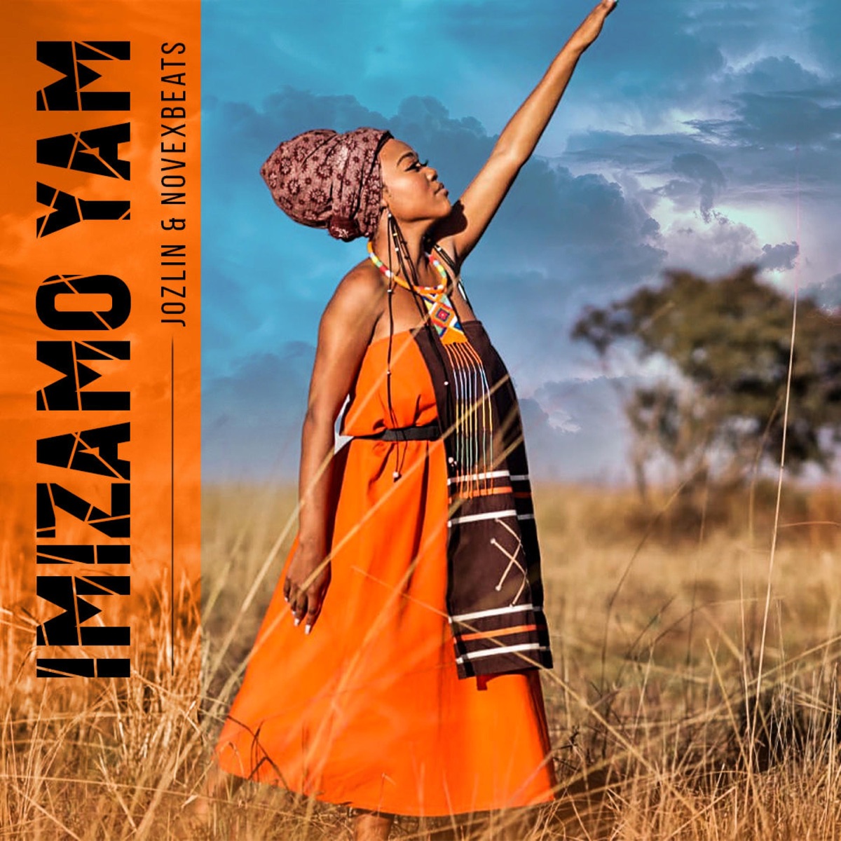 Imizamo Yam - Single by Jozlin & Novexbeats album cover