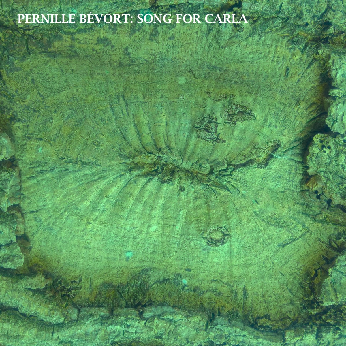 Song for Carla (feat. Pelle Fridell, Per Gade, Niels Præstholm, Kjeld Lauritsen & Karsten Bagge) - Single by Pernille Bévort album cover