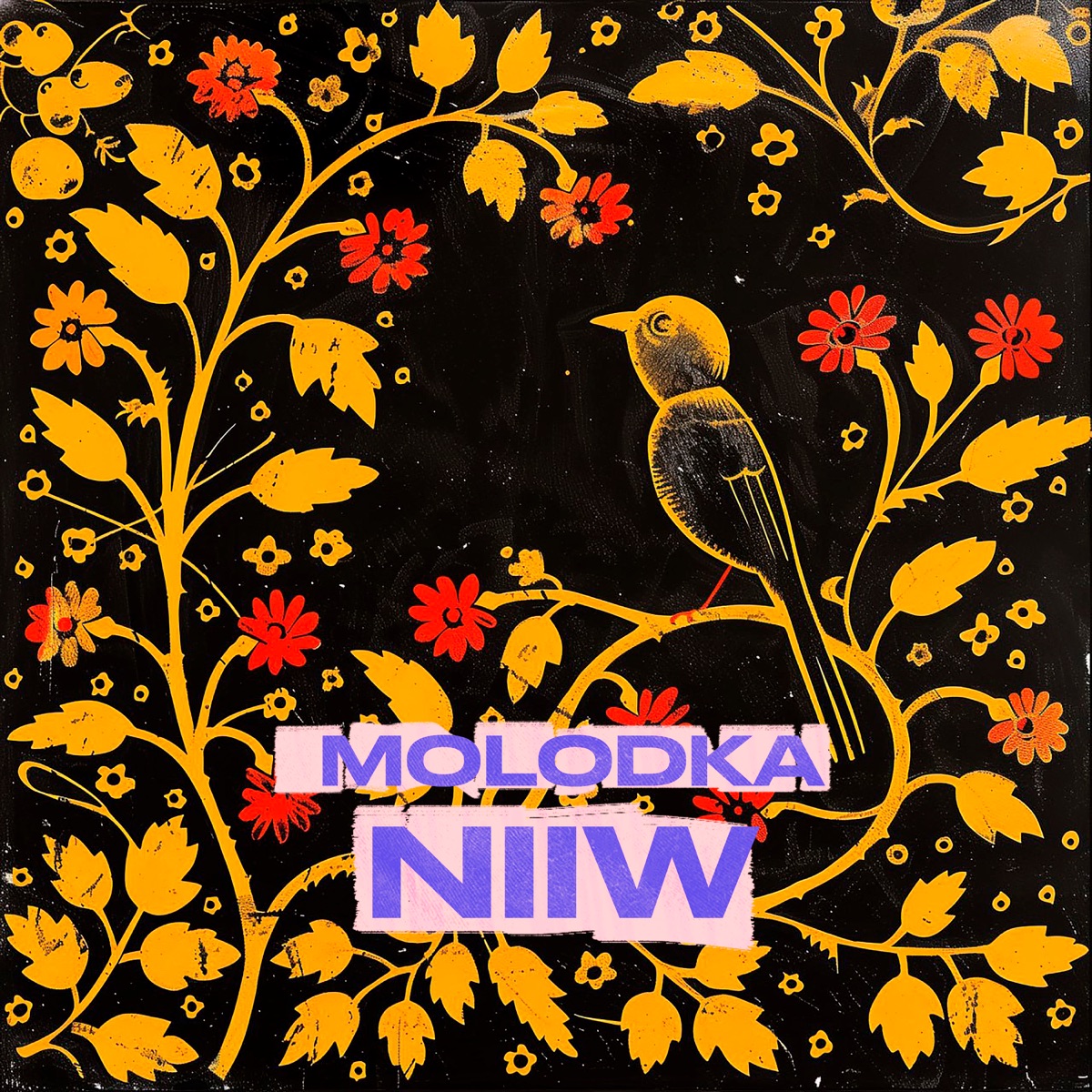 Molodka - Single by NIIW album cover