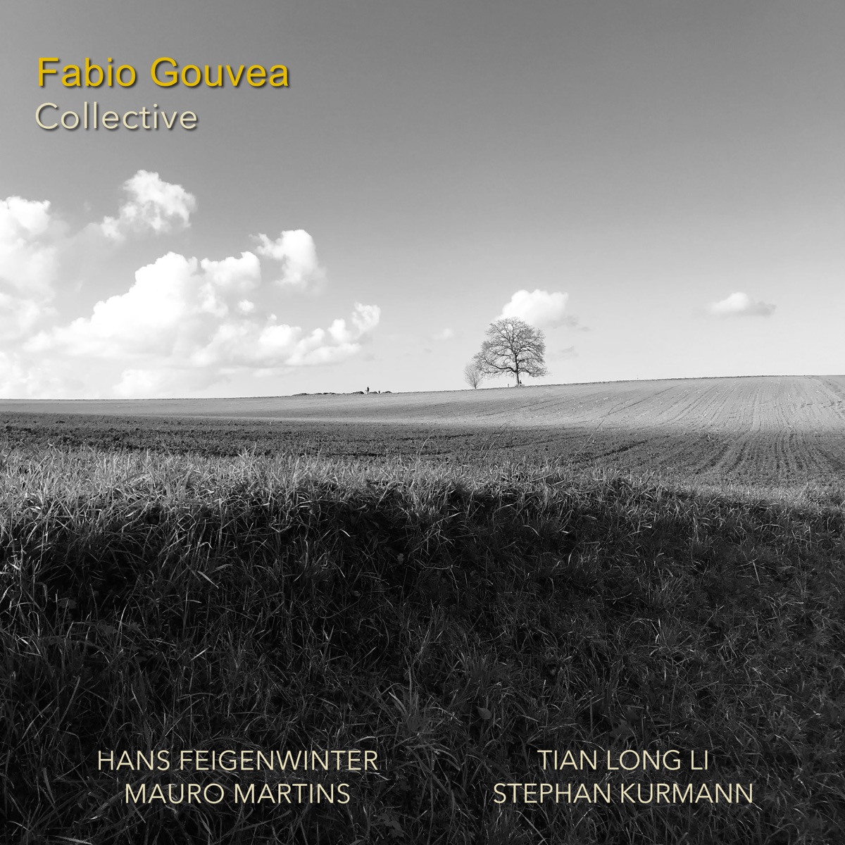 Fabio Gouvea Collective (feat. Hans Feigenwinter, Stephan Kurmann Strings & Mauro Martins) by Fabio Gouvea album cover