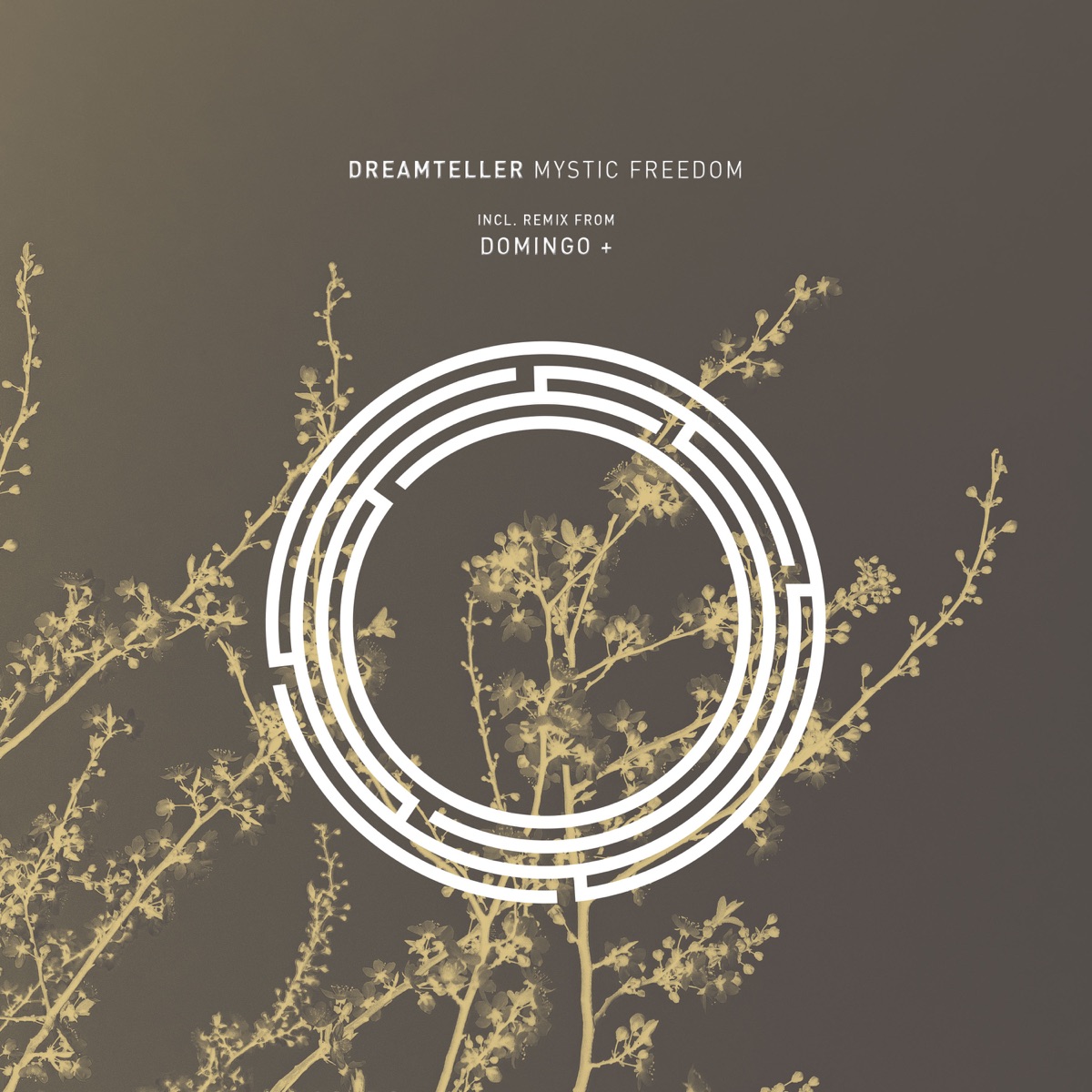 Mystic Freedom by Dreamteller & Domingo + album cover