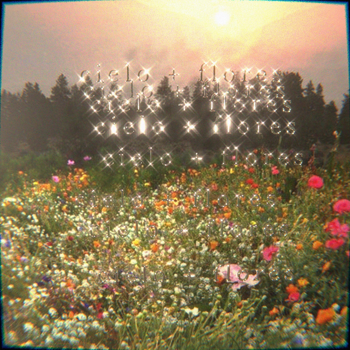 cielo + flores - Single by Natt Calma & R.O.D album cover