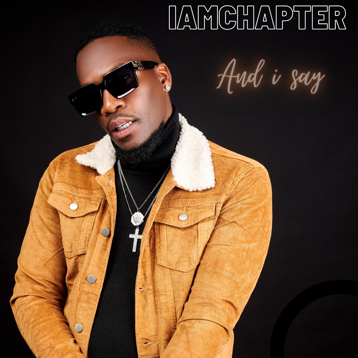 Sanity - Single by Iamchapter album cover