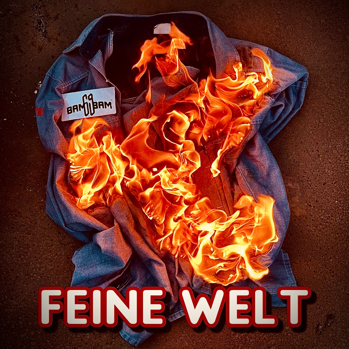 Feine Welt - Single by Bambam69 album cover