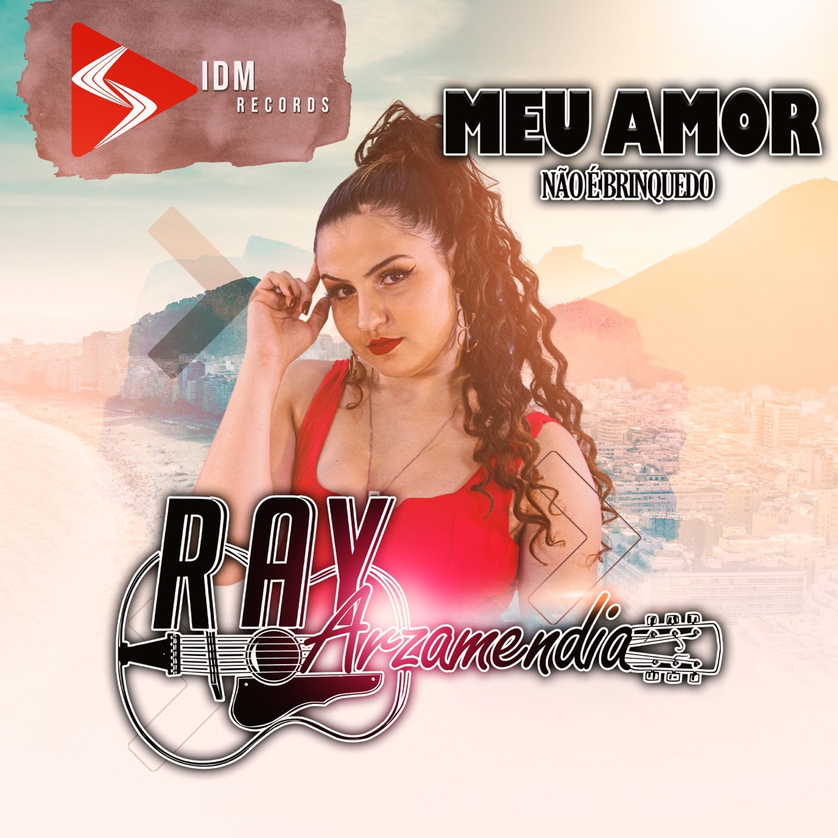 Meu Amor Não é Brinquedo - Single by Ray Arzamendia & dj Alle Mark album cover