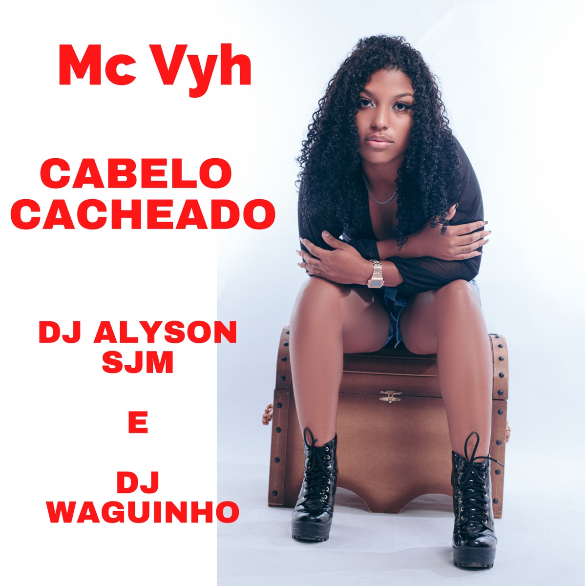 Cabelo Cacheado - Single by MC VYH, DjWaguinho & DJ ALYSON SJM album cover