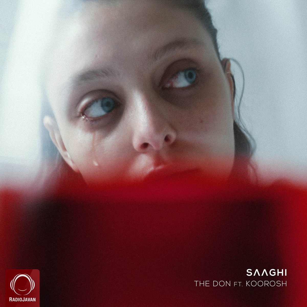 Saaghi - Single by The Don & Koorosh album cover