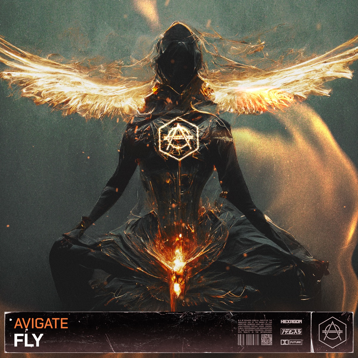 Fly - Single by Avigate album cover
