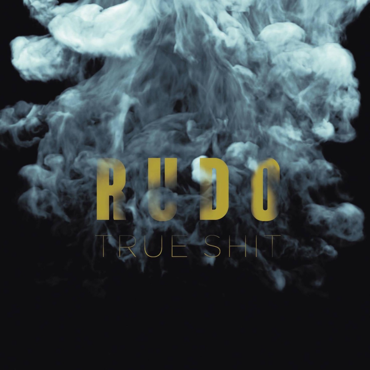 True Shit by Rud0 album cover