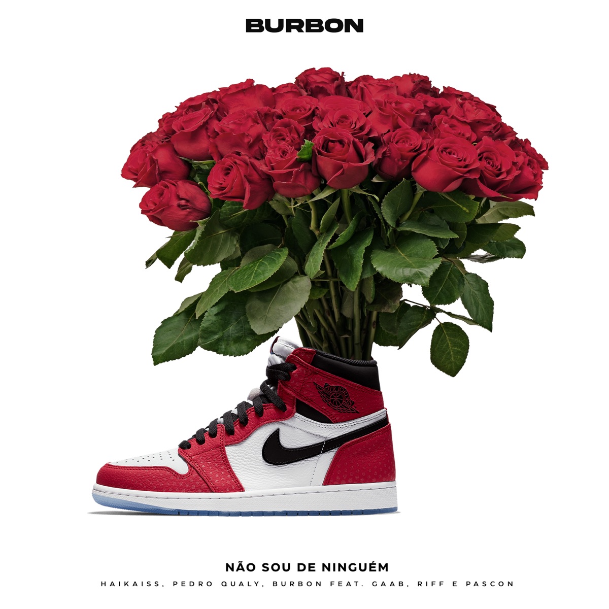 Não Sou de Ninguém (feat. GAAB, Riff & Pascon) - Single by Haikaiss, Pedro Qualy & Burbón album cover