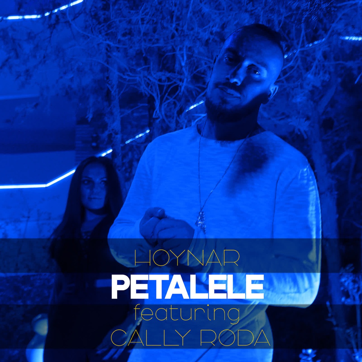 Petalele (feat. Cally Roda) - Single by Hoynar album cover
