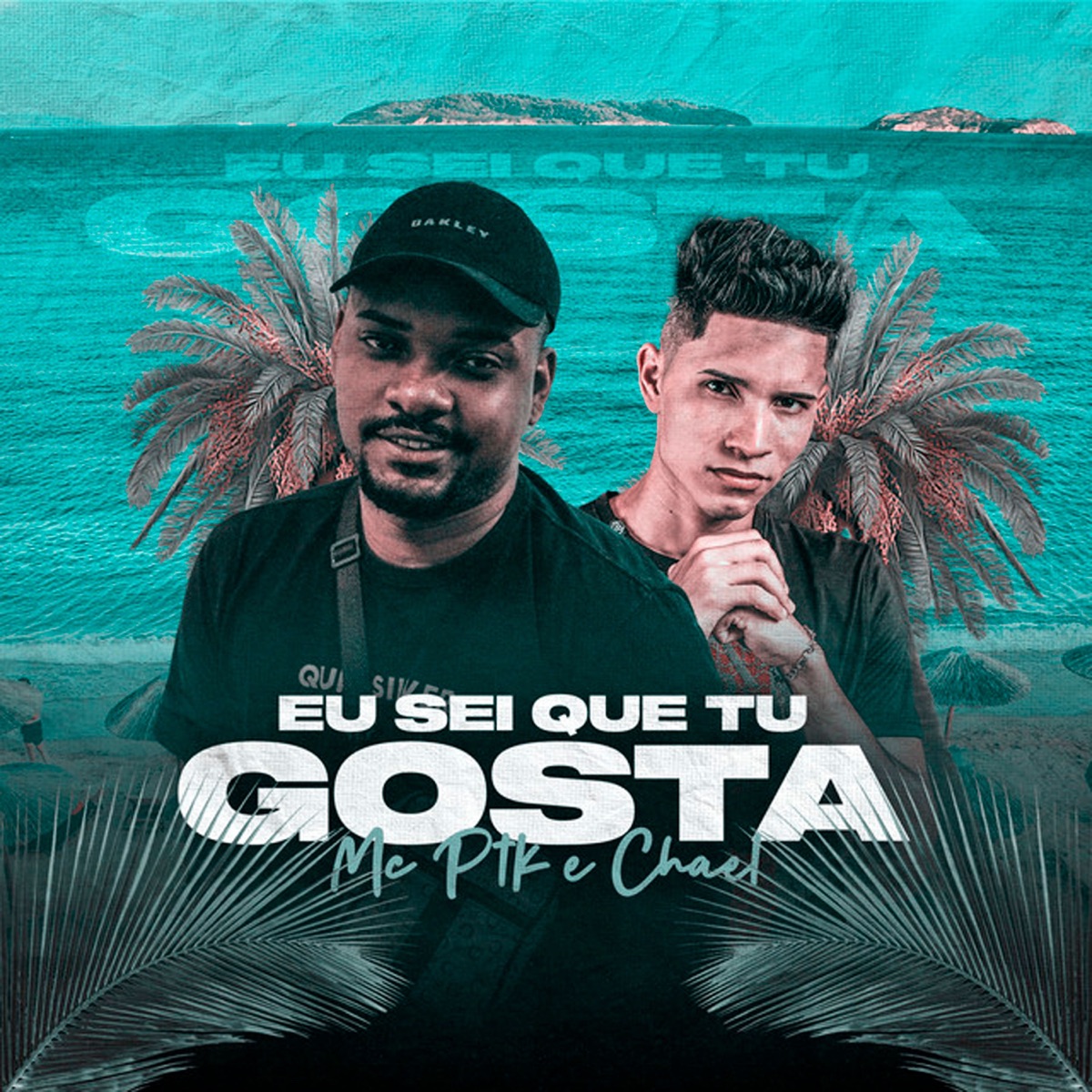 Eu Sei Que Tu Gosta - Single by Mc PTK & Chael album cover