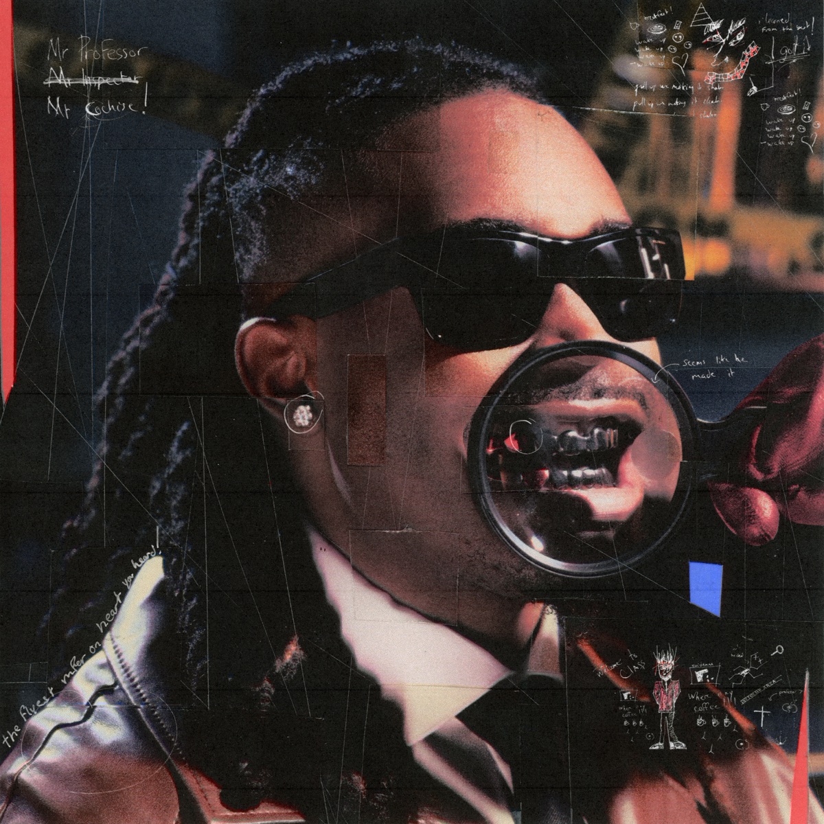 THE INSPECTION by Cochise album cover