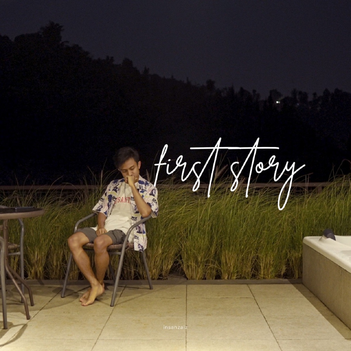 First Story - Single by insanzaiz album cover