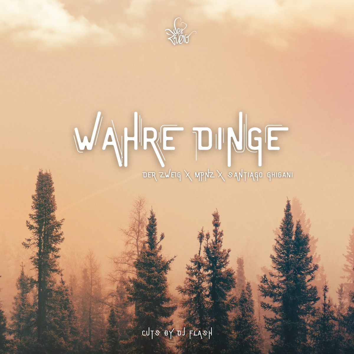 Wahre Dinge (feat. Santiago Ghigani & DJ Flash) - Single by Der Zweig & Mpnz album cover