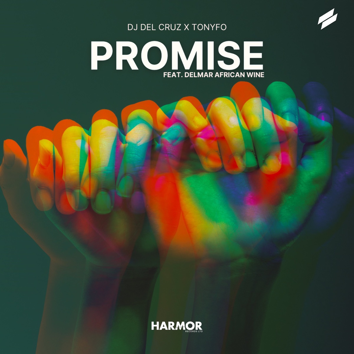 Promise (feat. Delmar African Wine) - Single by Dj Del Cruz & Tonyfo album cover