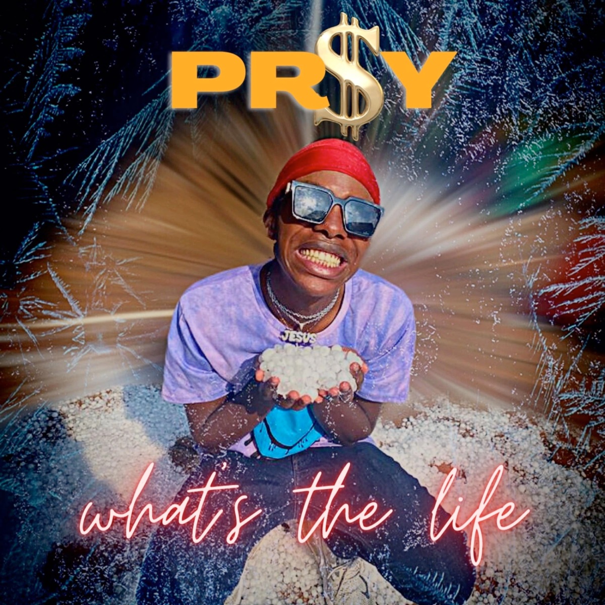 What's the Life - Single by Pr$y album cover