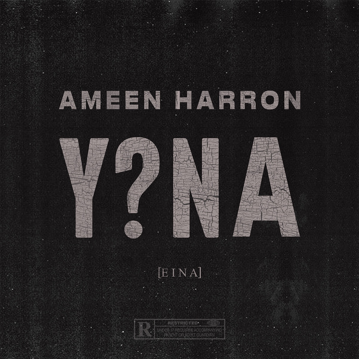 Y?NA (EINA) - Single by Ameen Harron, YoungstaCPT & Nadia Jaftha album cover