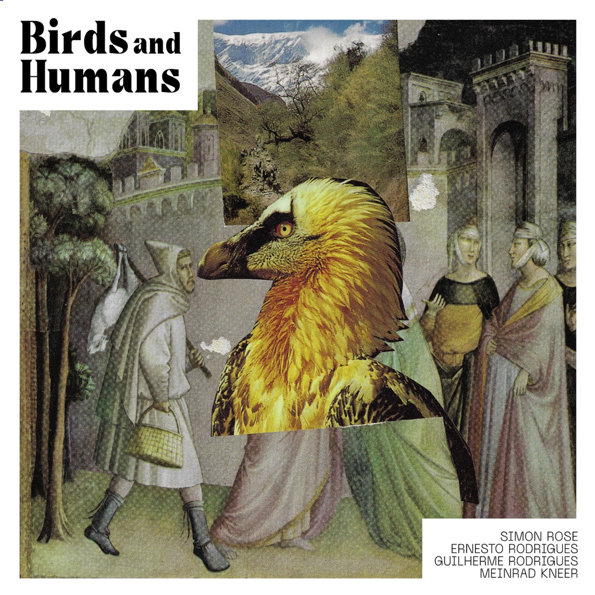 Birds & Humans (feat. Simon Rose, Meinrad Kneer & Ernesto Rodrigues) by Guilherme Rodrigues album cover