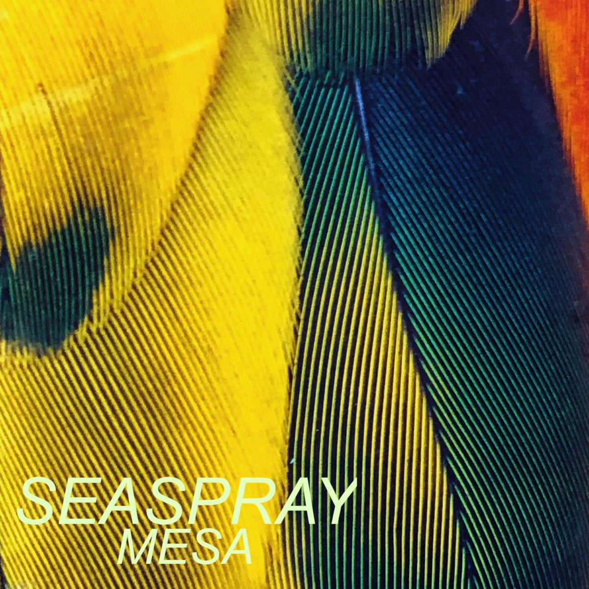 Mesa - Single by Seaspray album cover