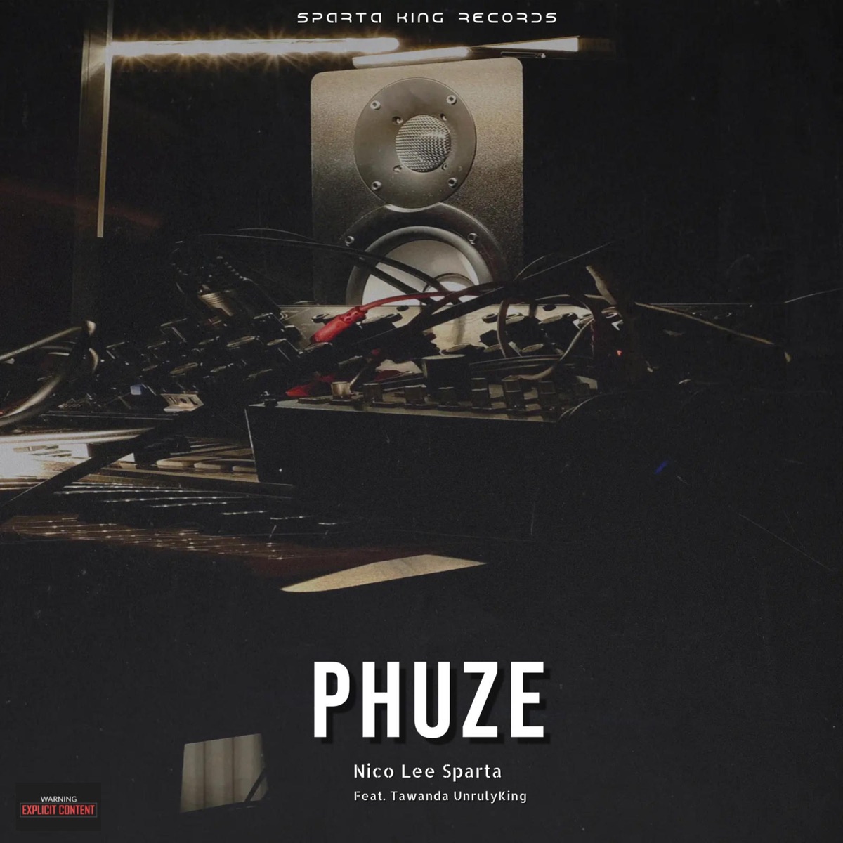 Phuze (feat. Tawanda Unruly King) - Single by Nico Lee Sparta album cover