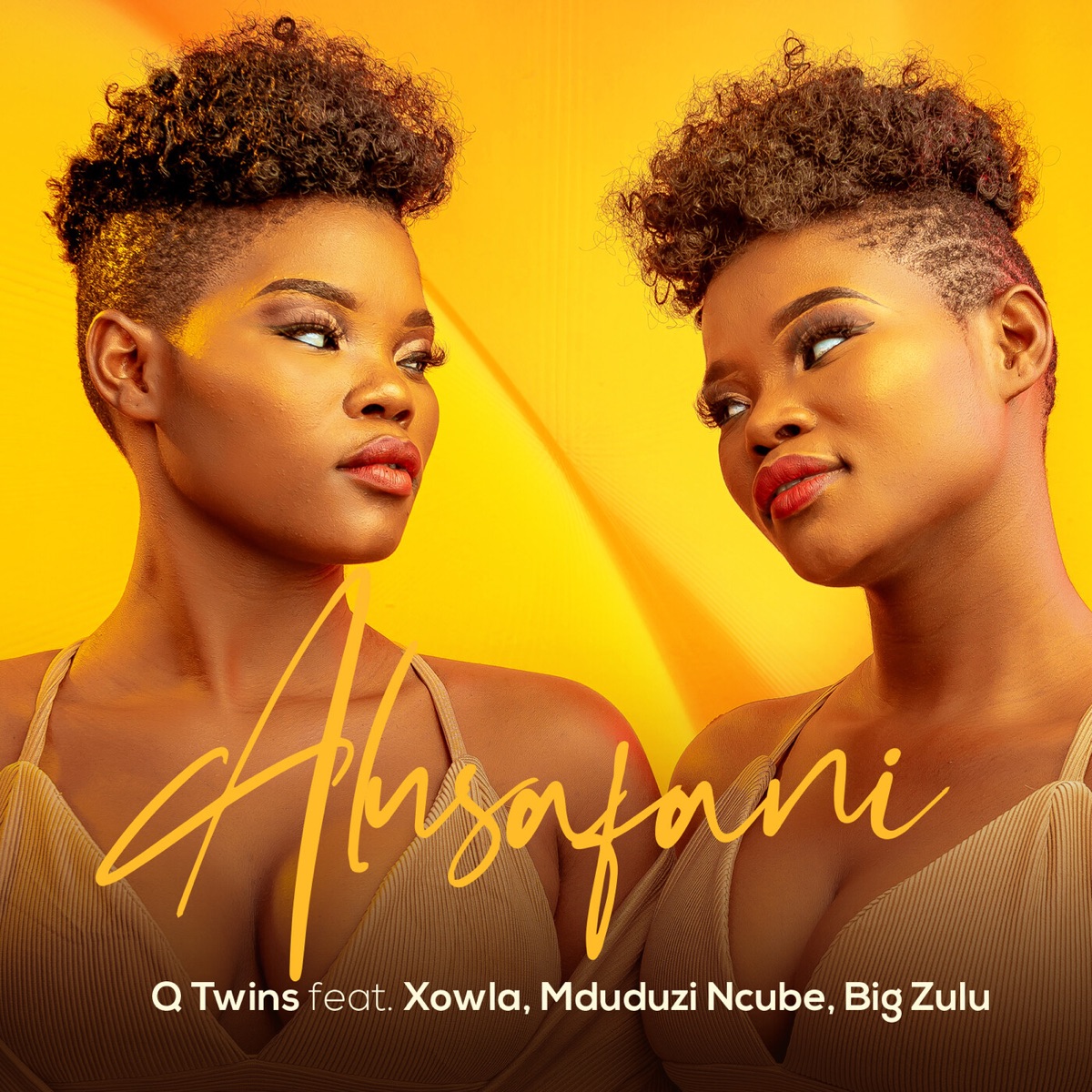 Alusafani (feat. Xowla, Mduduzi Ncube & Big Zulu) - Single by Q Twins album cover