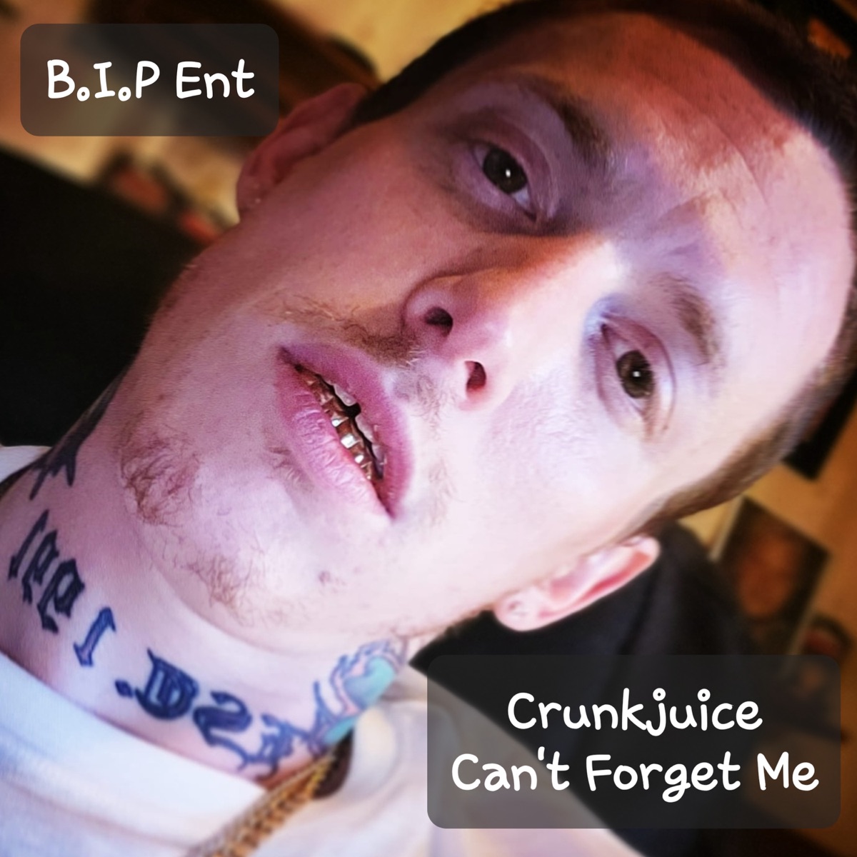 Can't Forget Me - Single by Crunkjuice album cover