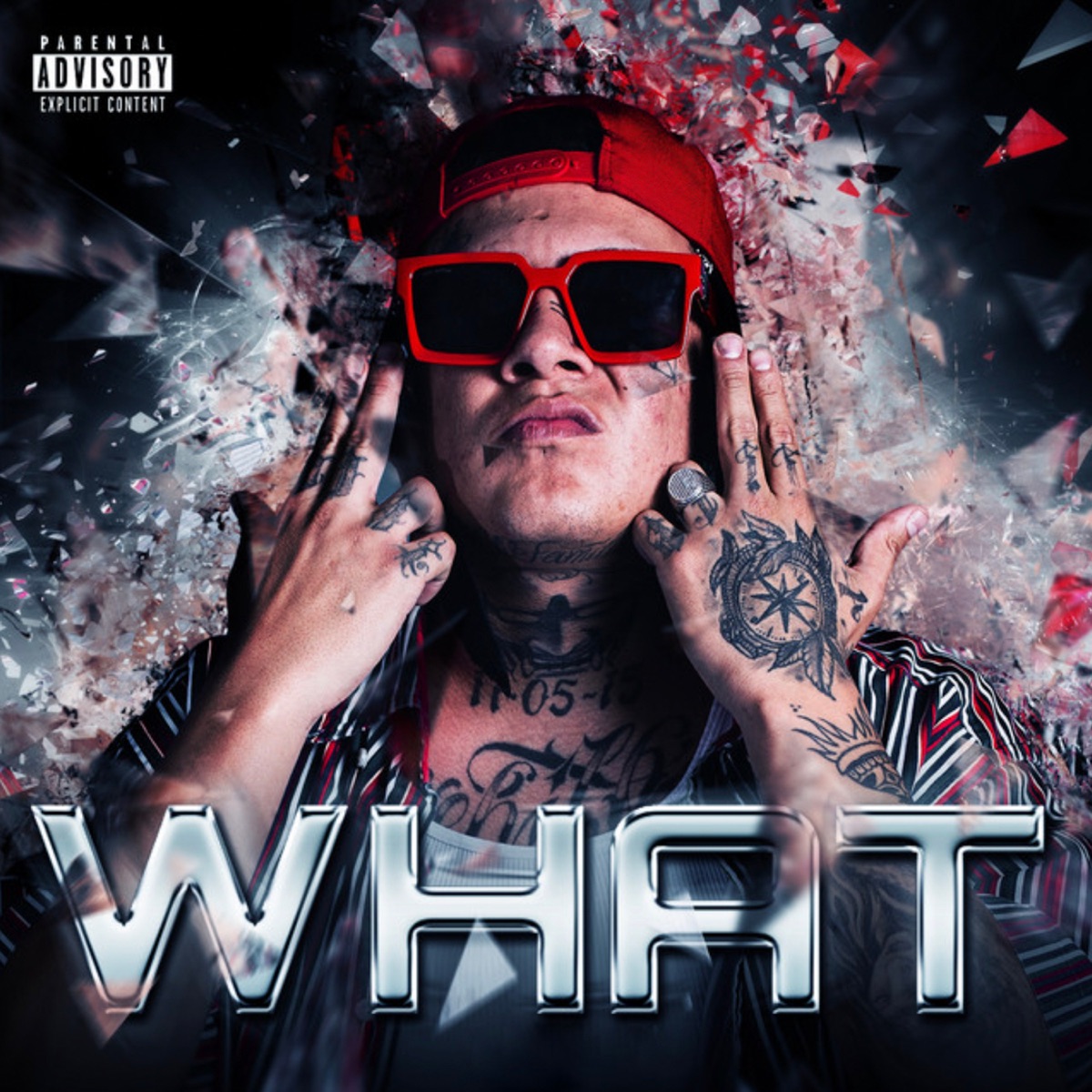 What - Single by Geassassin album cover