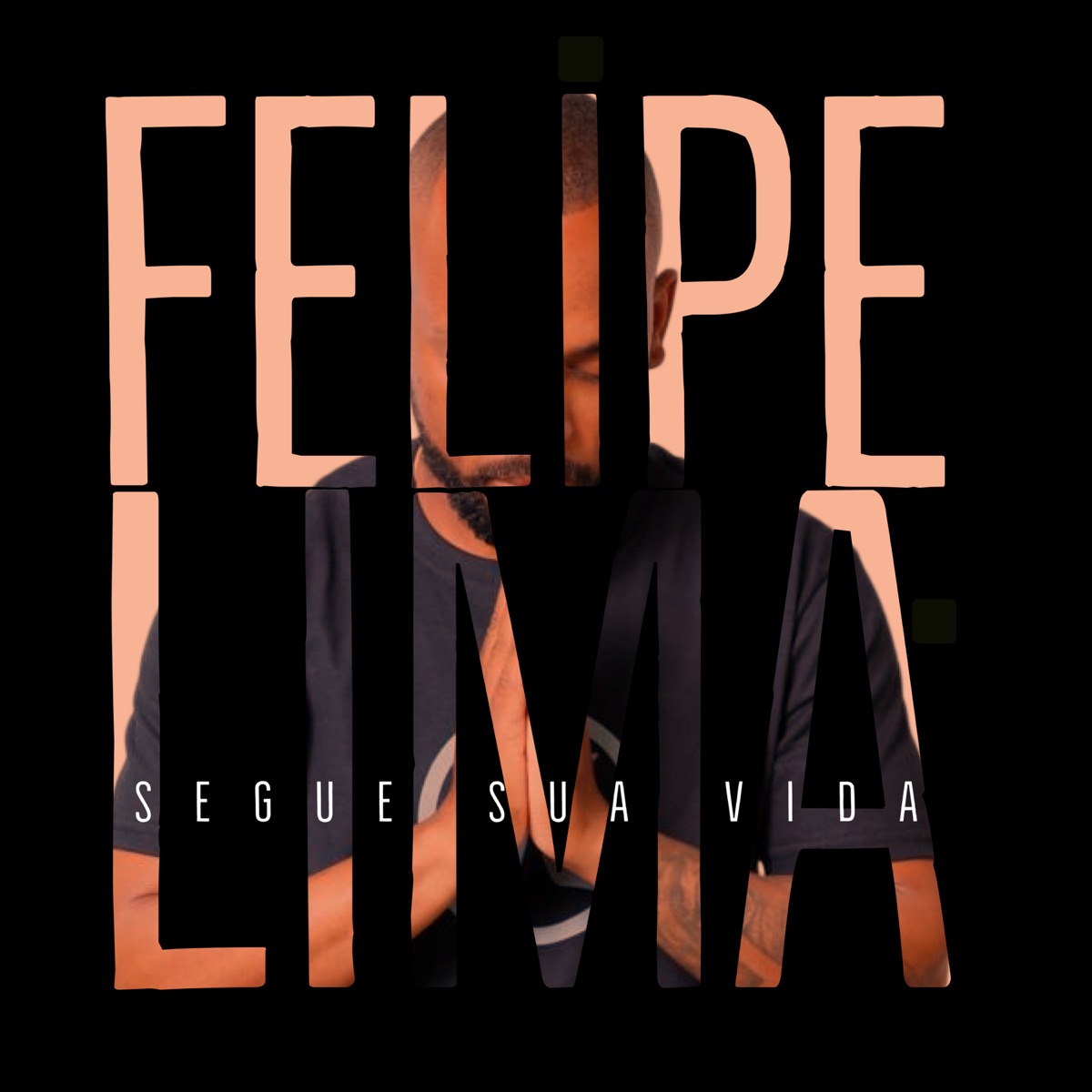 Segue Sua Vida - Single by Filipinho album cover