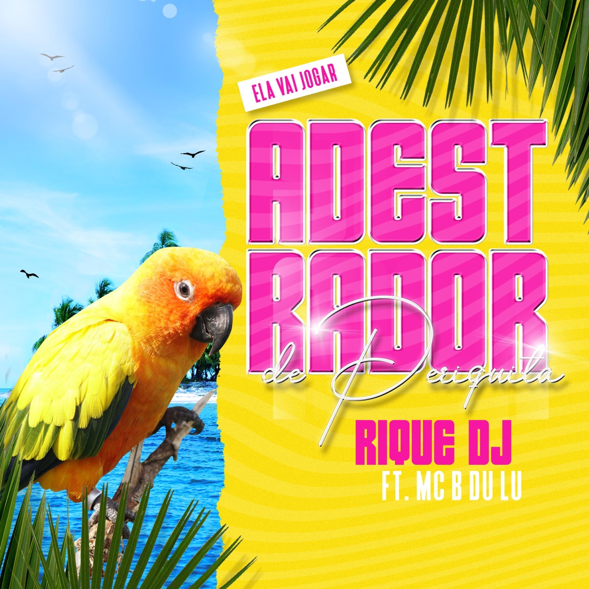 Adestrador de Periquita (feat. MC B Du Lu) - Single by Rique DJ album cover